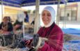 HAZEK’te cimem mesaisi başladı