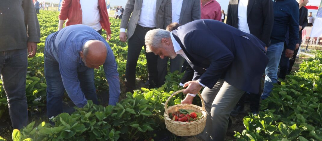 Başkan Öntürk’le Hatay tarımda çağ atladı