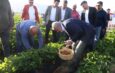 Başkan Öntürk’le Hatay tarımda çağ atladı
