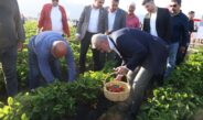 Başkan Öntürk’le Hatay tarımda çağ atladı