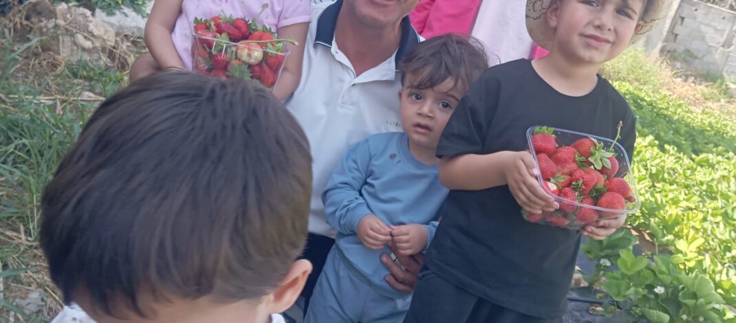 Altınözü’nde bir ilke imza atan çilek bahçesi misafirlerini ağırlamaya devam ediyor